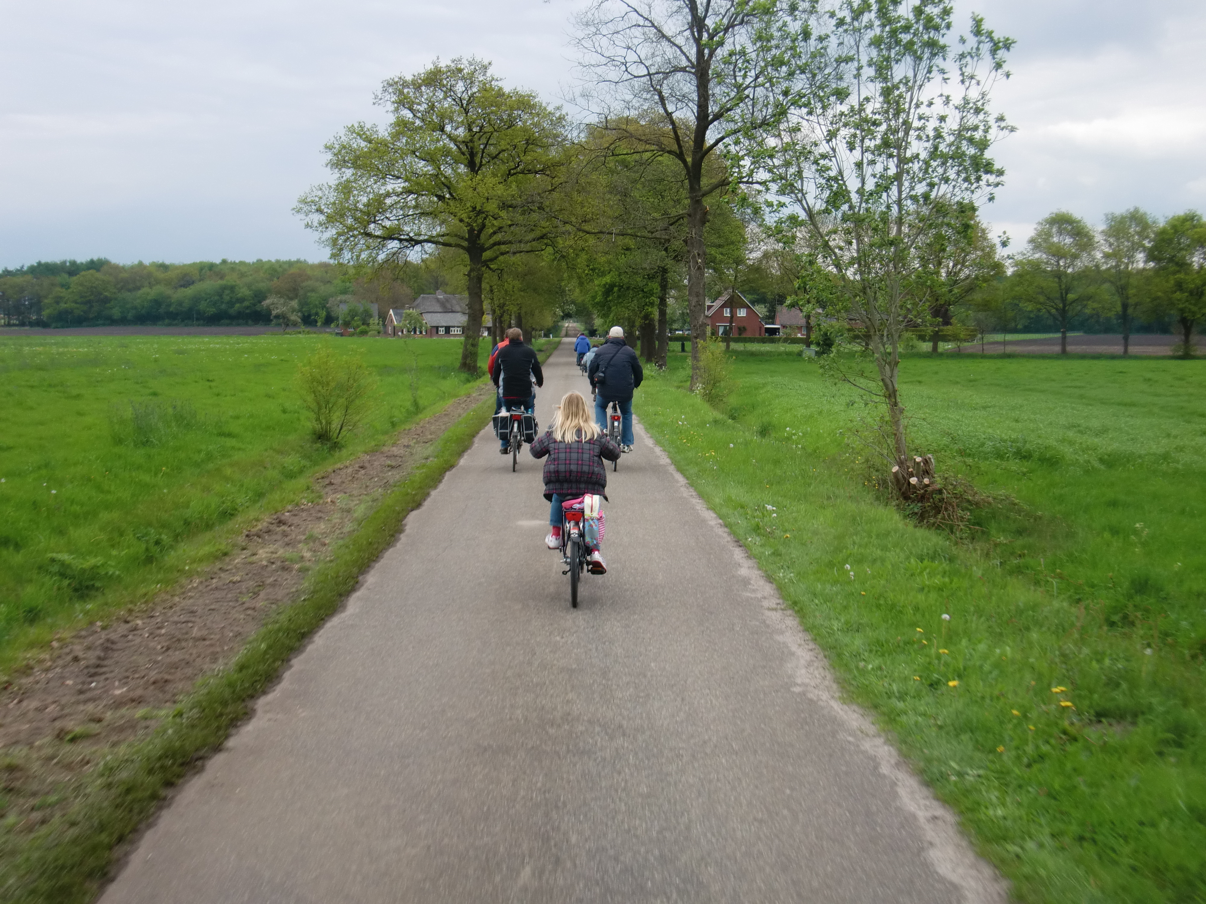 HWK2010 070.jpg